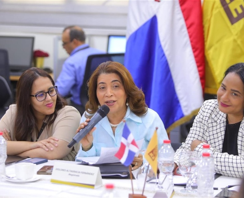 Mesa de Inclusión de la JCE presenta proyecto de la nueva cédula a entidades que trabajan con la discapacidad